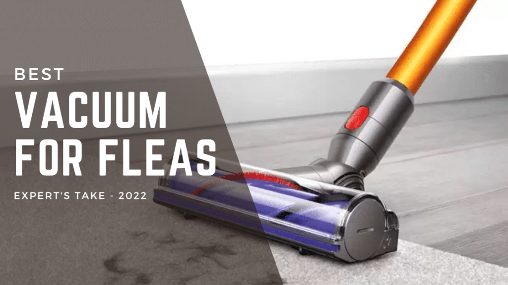 Best Vacuum For Fleas