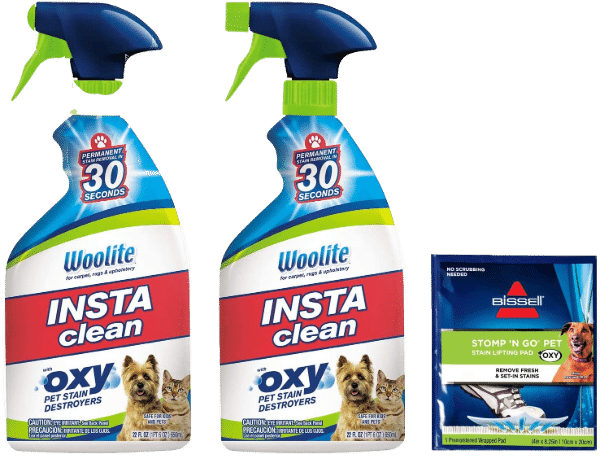 Bissell Woolite InstaClean Permanent Pet Stain Remover 1