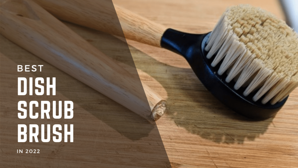 Dish Scrub Brush