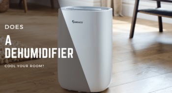 Does A Dehumidifier Cool a Room? A Definitive Answer For 2023