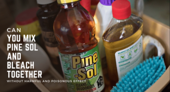 Can You Mix Pine Sol and Bleach without Harmful and Poisonous Effect- Quick Guide for 2023