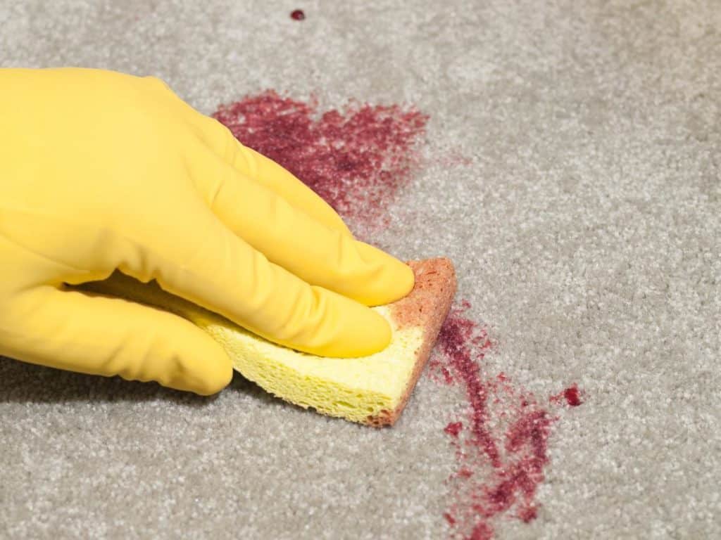 1200 182880263 blood stain on carpet