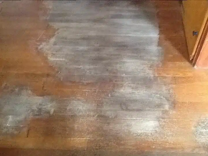 q removing dog urine stains from hardwood floors cleaning tips flooring hardwood floors