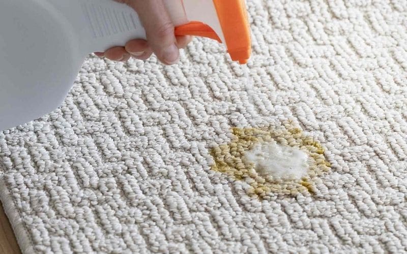 How to Clean Vomit From Carpet