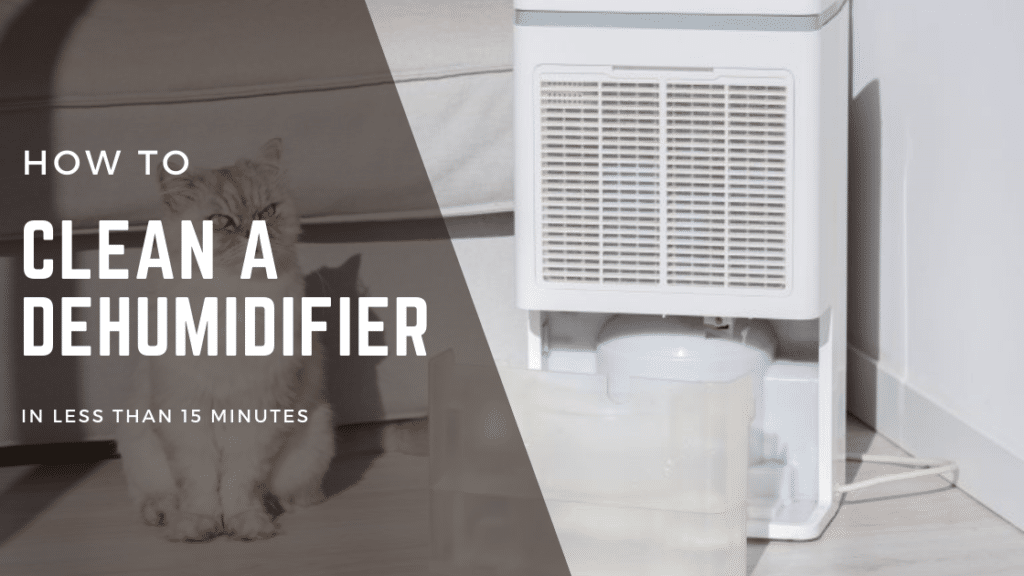 How to Clean a Dehumidifier