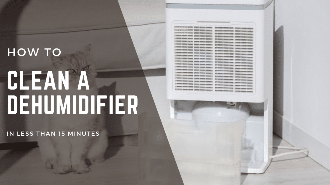 How to Clean a Dehumidifier