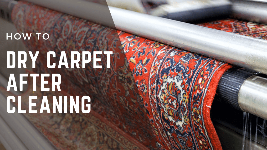 How to Dry Carpet After Cleaning