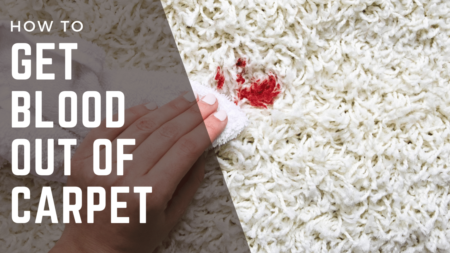 How to Get Blood Out of Carpet Fast & Easily in 2023 Cleaners Advisor