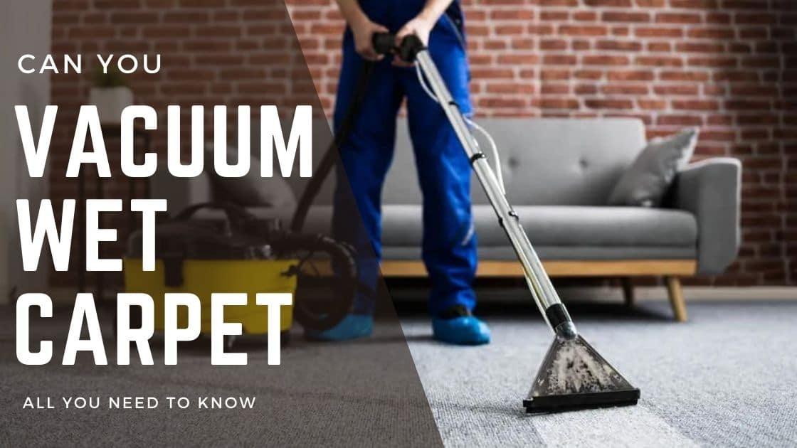can you vacuum wet carpet