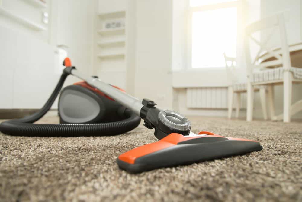 Can you vacuum wet carpet?