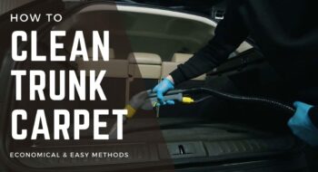 How to Clean Trunk Carpet-Easy & Simple Steps in 2022