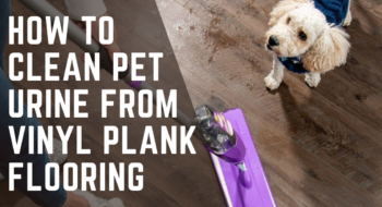 How to Clean Pet Urine from Vinyl Plank Flooring- 2023 Full Guide