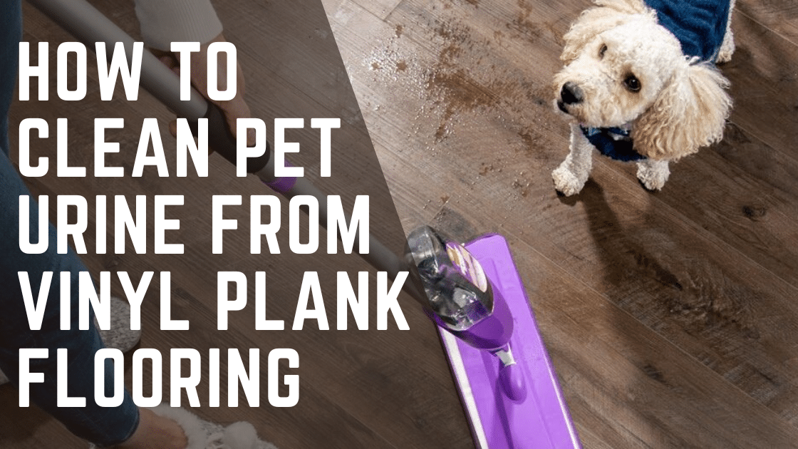 How to Clean Pet Urine from Vinyl Plank Flooring