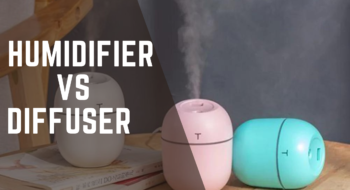 Humidifier vs Diffuser: Which One Should You Choose? -2023