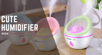 Cute Humidifier Review [Lovely Addition to Your Home]