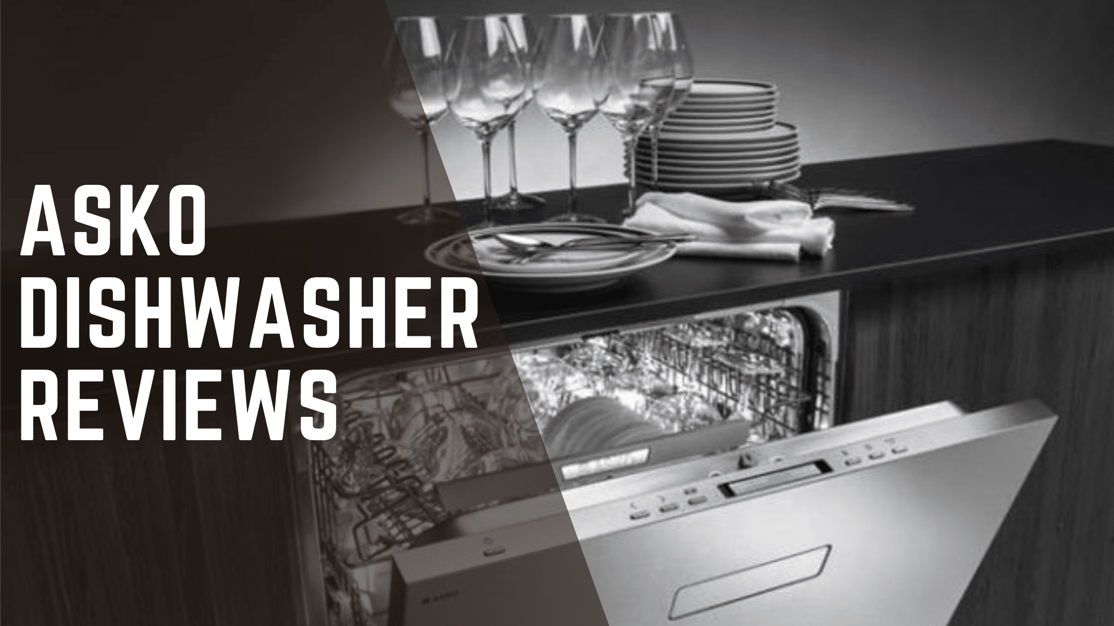 Asko Dishwasher Reviews
