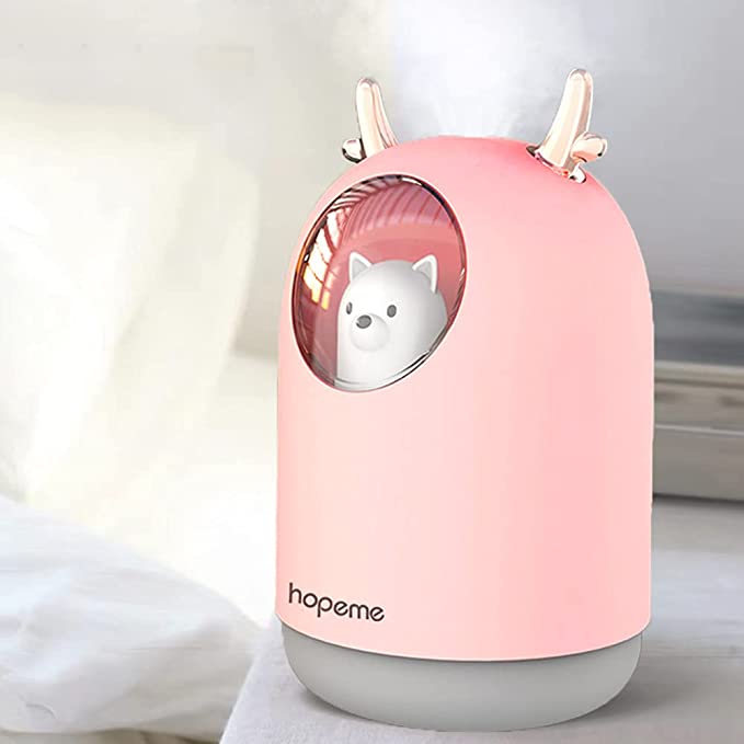 Cute Humidifier