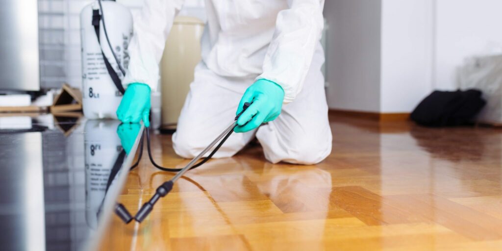 How to Clean Home To Keep Pests Away