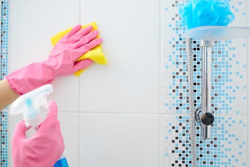 How to Clean Home To Keep Pests Away