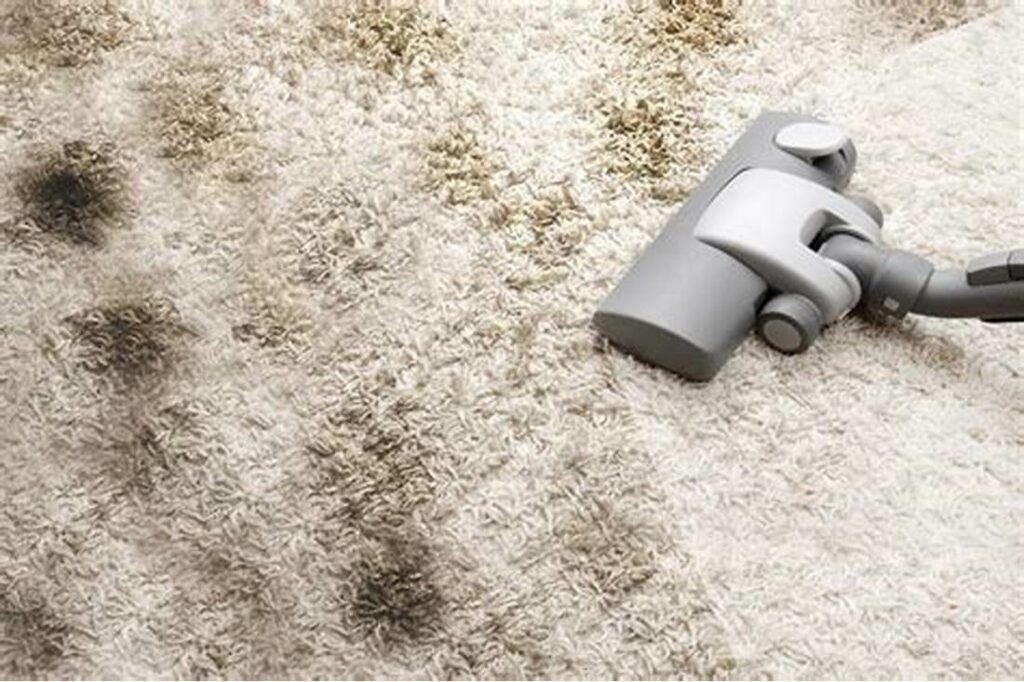 How to Get Mildew Smell Out of Carpet