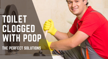 Toilet Clogged With Poop – Detailed Solutions
