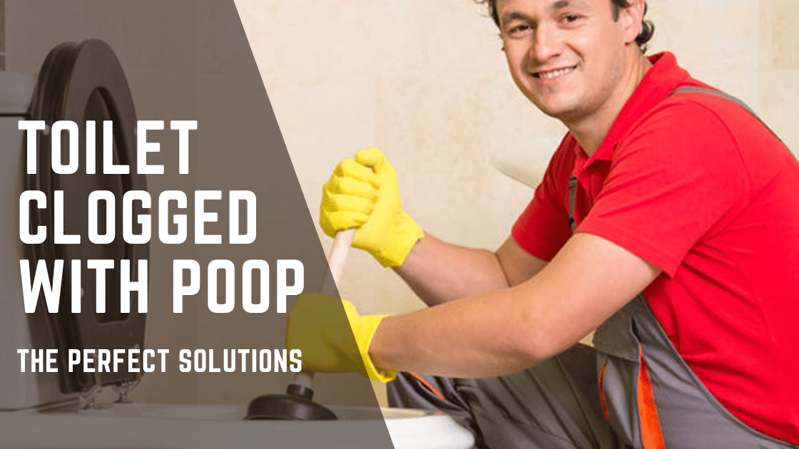 Toilet Clogged With Poop