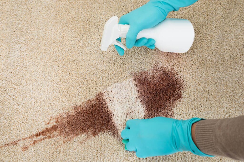 How to Get Dried Diarrhea Out of Carpet