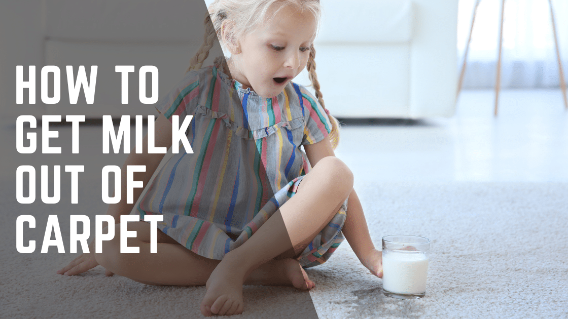How to Get Milk Out Of Carpet