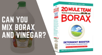 Can You Mix Borax And Vinegar? [Detailed Guide]