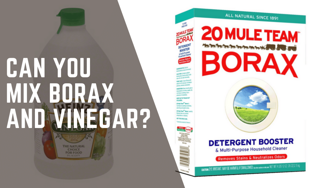 Can You Mix Borax And Vinegar
