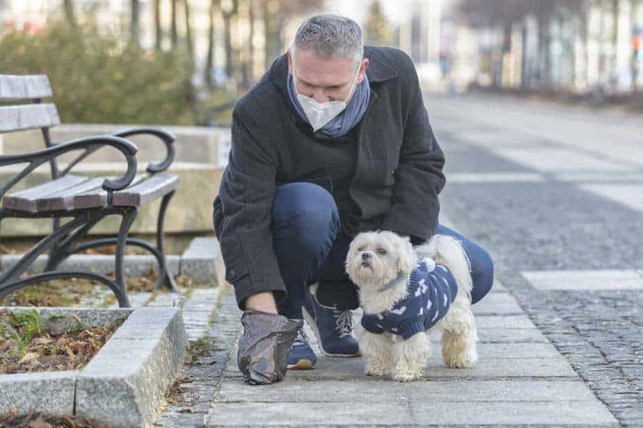 How to Clean Dog Poop off Concrete