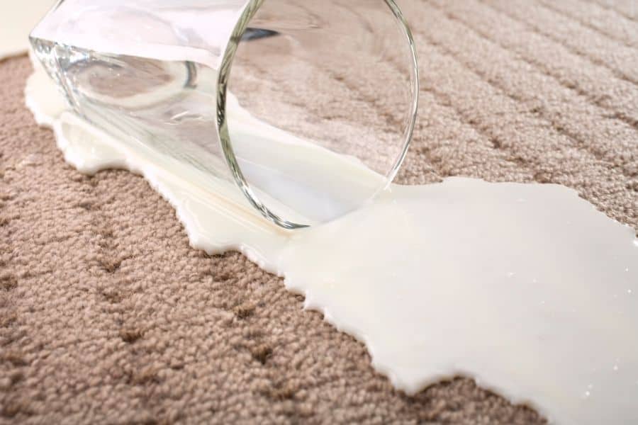How to Get Milk Out of Carpet